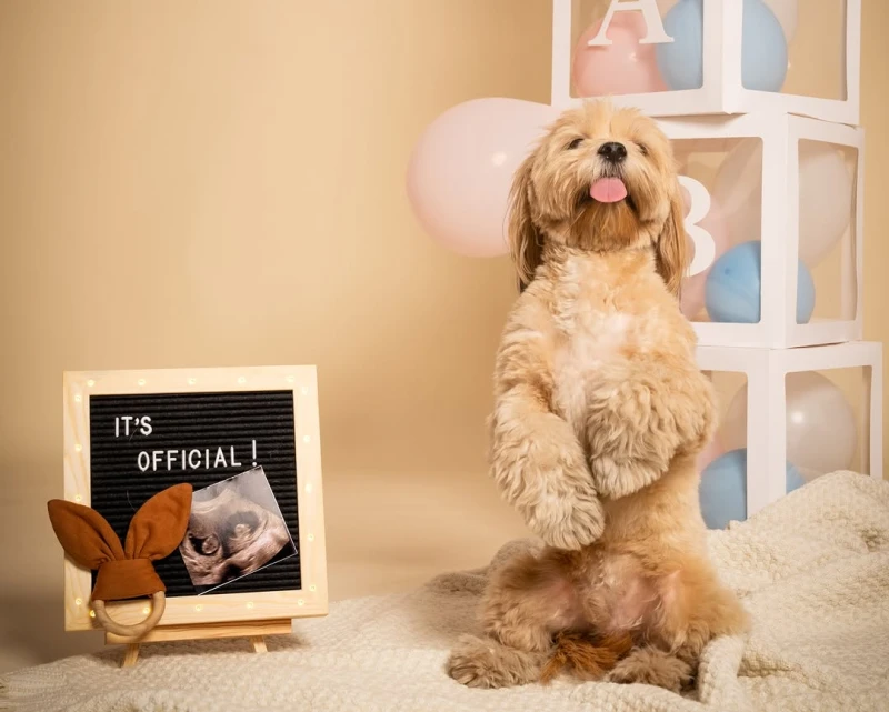 Sambhavna seth doggy