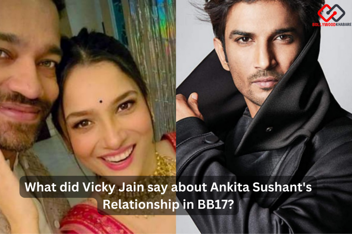 What did Vicky Jain say about Ankita Sushant's Relationship in BB17?