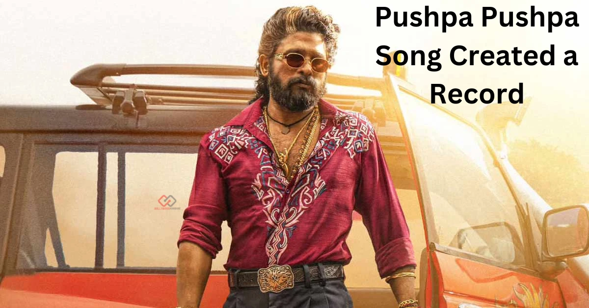 Pushpa Pushpa Song Created a Record