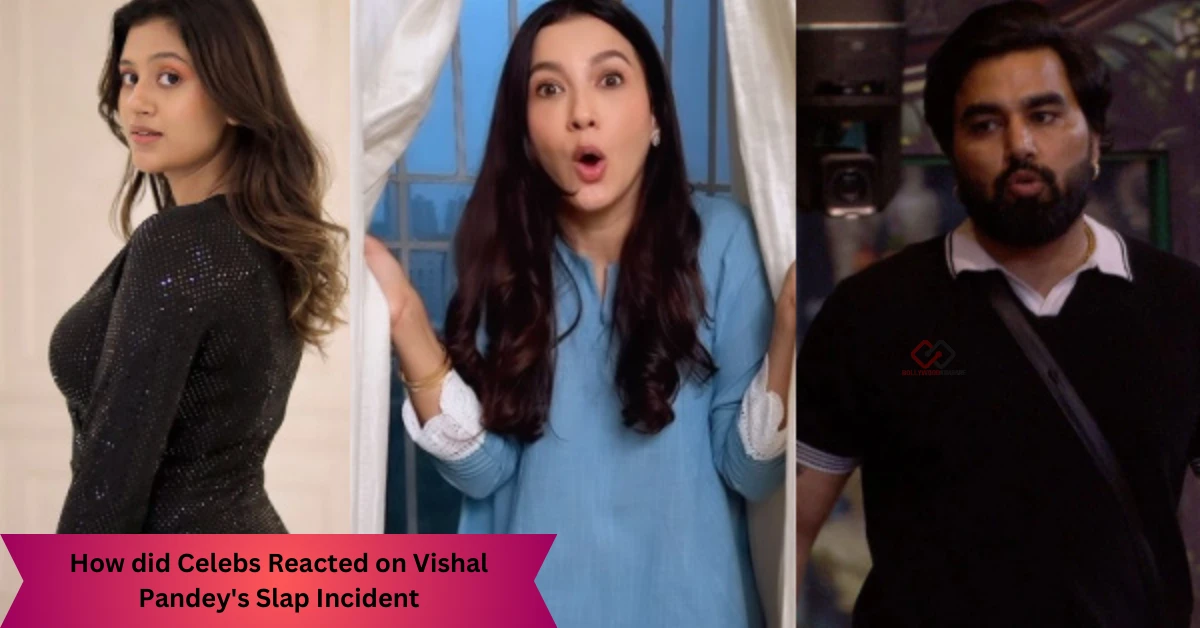 How did Celebs Reacted on Vishal Pandey's Slap Incident