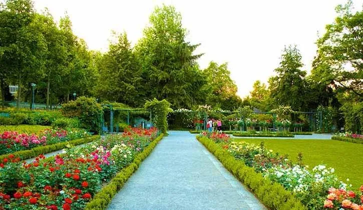 zakir hussain rose garden
